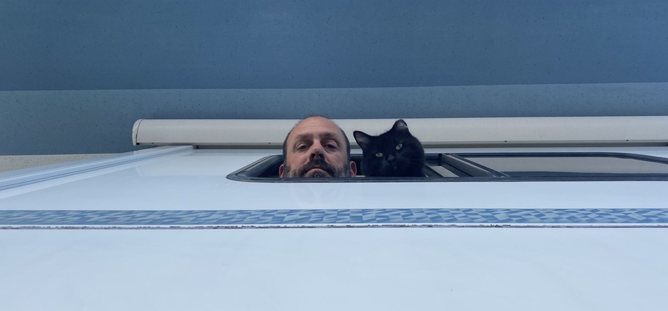 rving with a cat